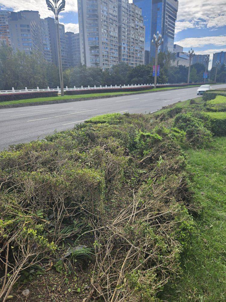 成都发生一起严重交通事故<strong></p>
<p>数字货币套利</strong>，上游新闻实地探访：燃烧留下的印记仍在