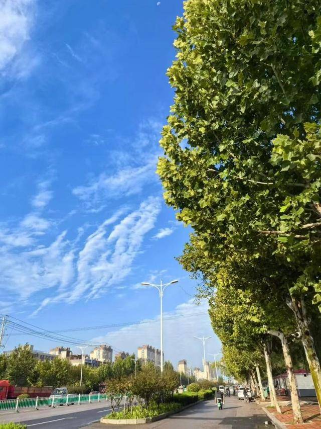 济南<strong></p>
<p>数字货币套利</strong>，转晴！山东，转晴！好久不见的太阳，来了！