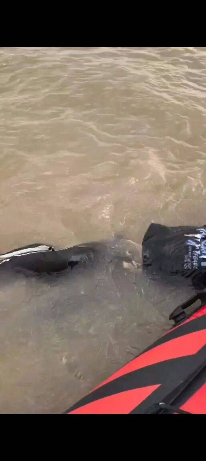 230斤重小伙酒后落水<strong></p>
<p>数字货币套利</strong>,漂浮7小时终获救……