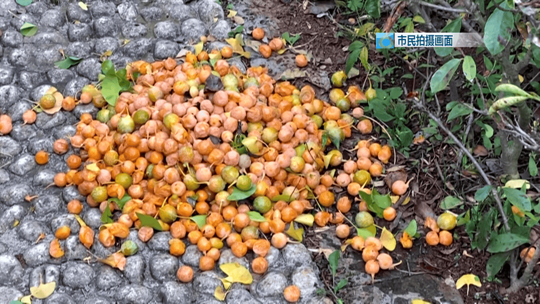 不要捡<strong></p>
<p>数字货币套利</strong>！不要吃！昆明街头正大量出现……