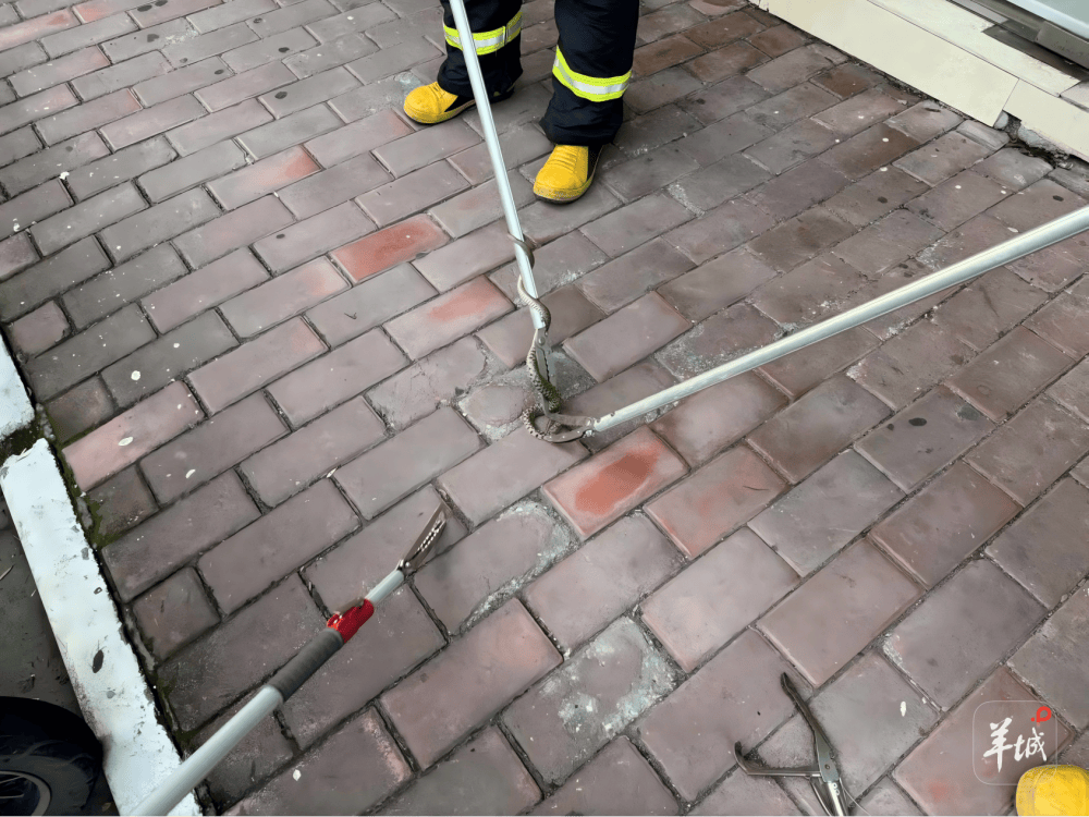 广州一小区蛇患频发：已抓超60条但未探测到蛇窝位置<strong></p>
<p>国际数字货币</strong>，多方介入