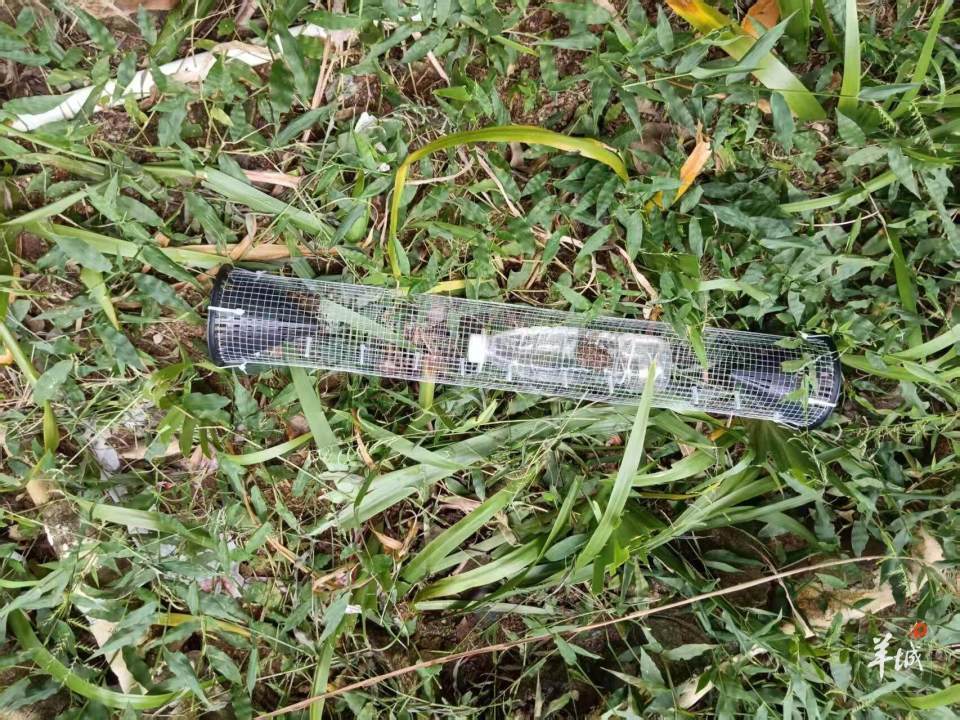 广州一小区蛇患频发：已抓超60条但未探测到蛇窝位置<strong></p>
<p>国际数字货币</strong>，多方介入