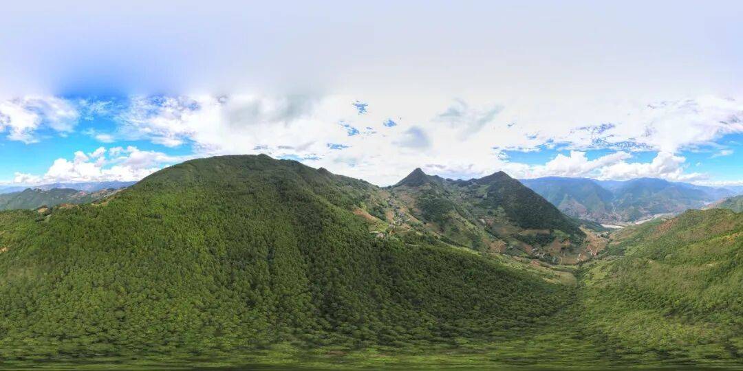 93岁老人进山失联<strong></p>
<p>买数字货币</strong>,两天后发现他倒挂在树杈上苦撑……