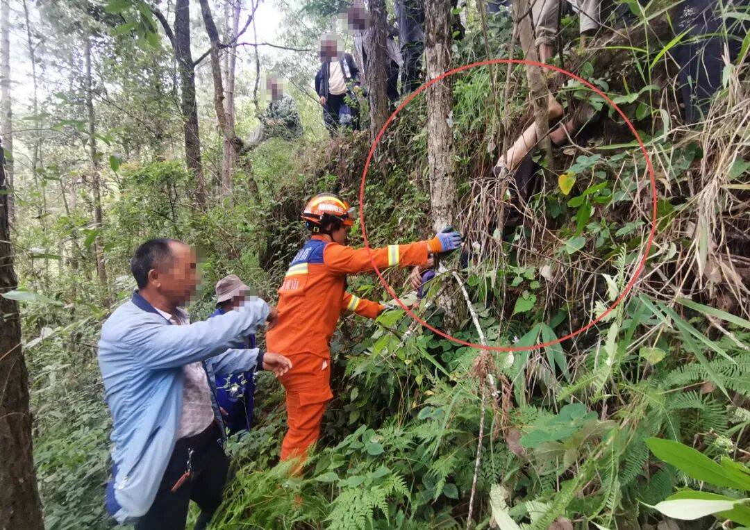 93岁老人进山失联<strong></p>
<p>买数字货币</strong>,两天后发现他倒挂在树杈上苦撑……