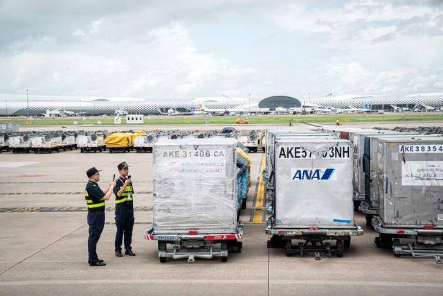 77.1万吨<strong></p>
<p>数字货币如何交易</strong>！深圳机场口岸货运吞吐量创历史新高