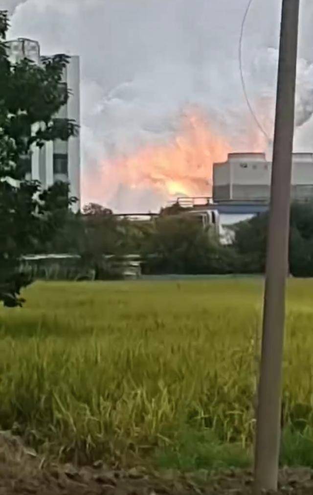 澄星股份工厂发生火灾？附近酒店：已灭火<strong></p>
<p>数字货币搬砖</strong>，有刺激性气味，建议不开窗