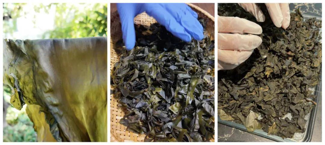 被万亿巨头忽略的赛道<strong></p>
<p>数字货币搬砖</strong>，却受年轻人追捧，有公司年销70亿