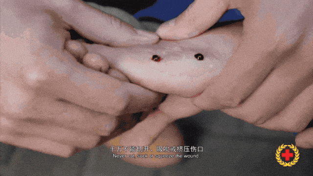 女子半夜上厕所<strong></p>
<p>中国的数字货币</strong>，马桶里突然窜出一条蛇！