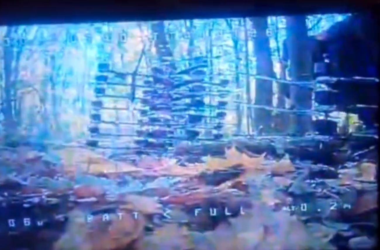 1万朝鲜特种兵凭空消失？苏梅全线告急<strong></p>
<p>中国的数字货币</strong>，乌克兰截获绝密前线情报