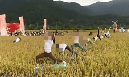 媒体：稻田开镰仪式<strong></p>
<p>中国的数字货币</strong>，表演哪门子瑜伽？