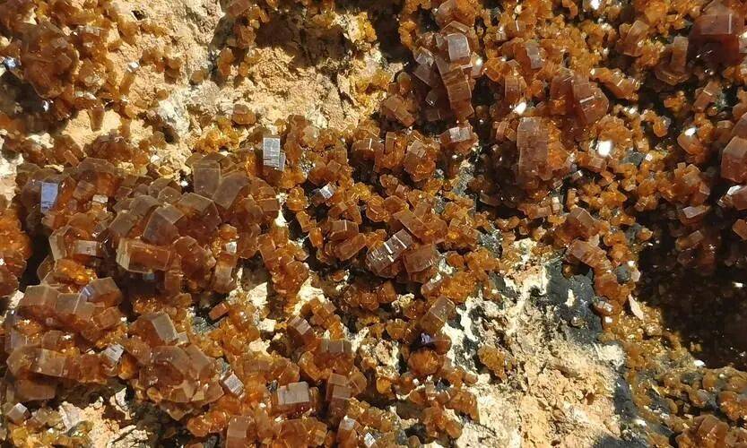 王牌对王牌!中美措施同一天生效<strong></p>
<p>数字货币机</strong>,美盟友密集访华,释放什么信号?