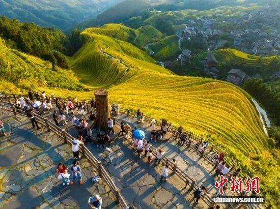 金秋<strong></p>
<p>数字货币机</strong>，广西的梯田一点不输！