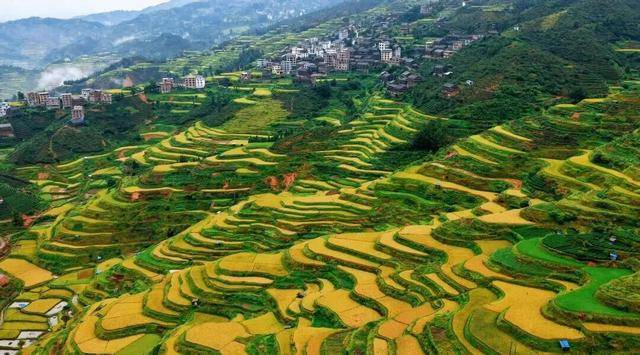 金秋<strong></p>
<p>数字货币机</strong>，广西的梯田一点不输！