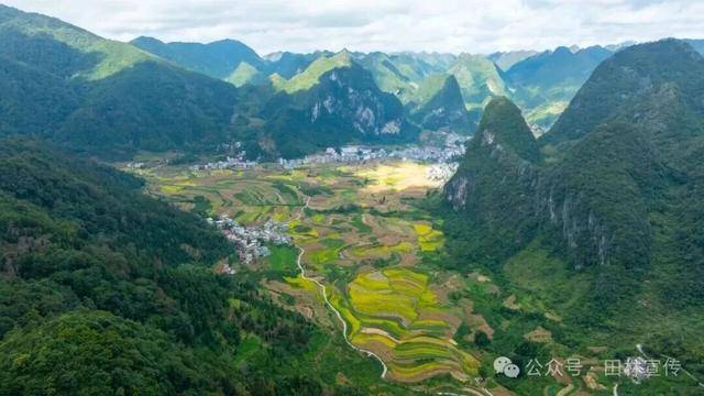 金秋<strong></p>
<p>数字货币机</strong>，广西的梯田一点不输！