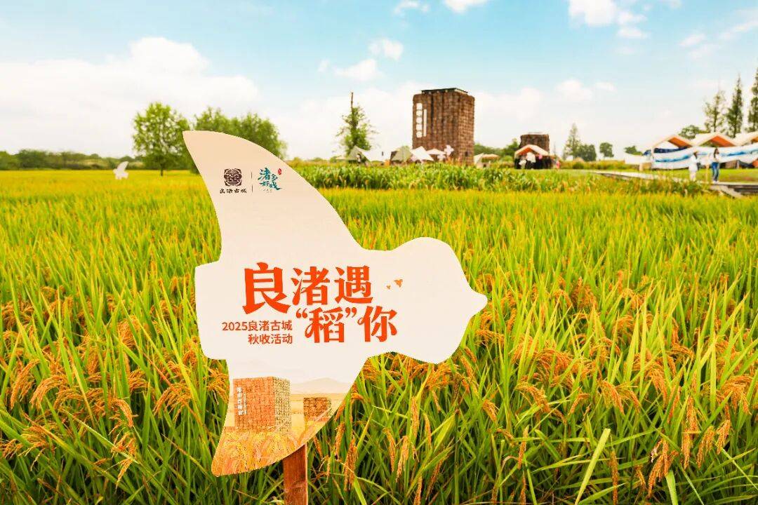 良渚遇“稻”<strong></p>
<p>数字货币机</strong>你 ｜ 秋季活动正当时
