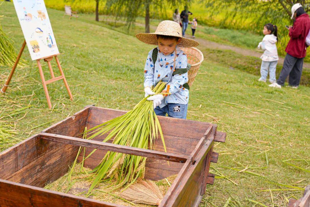 良渚遇“稻”<strong></p>
<p>数字货币机</strong>你 ｜ 秋季活动正当时