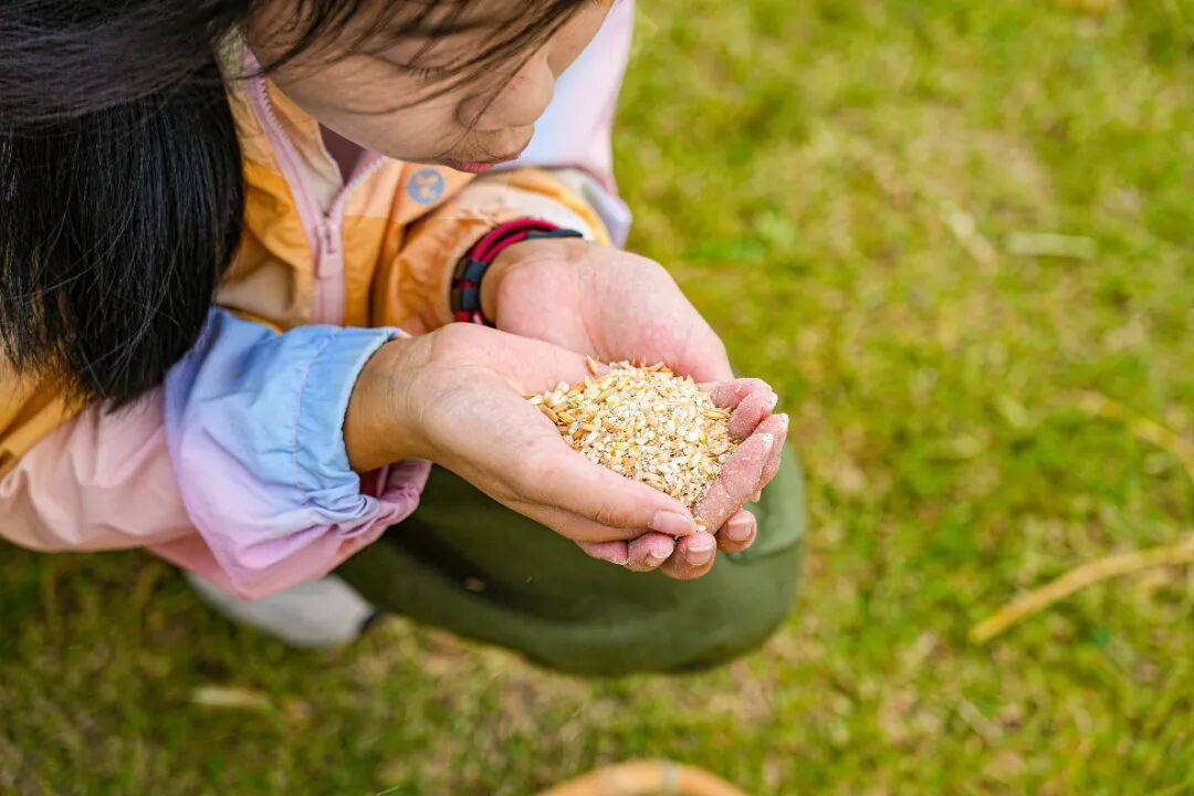 良渚遇“稻”<strong></p>
<p>数字货币机</strong>你 ｜ 秋季活动正当时