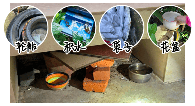 涉学校、公园、城中村<strong></p>
<p>数字货币机</strong>！深圳官方最新公布“黑窝点”