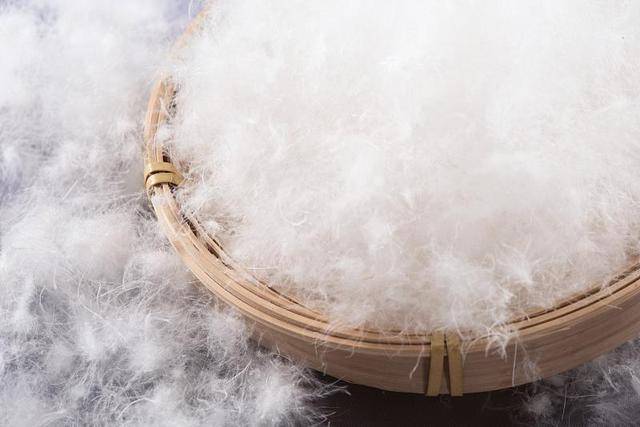 冷空气来袭<strong></p>
<p>数字货币机</strong>，如何正确挑选羽绒服？