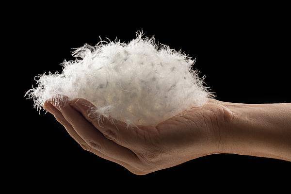 冷空气来袭<strong></p>
<p>数字货币机</strong>，如何正确挑选羽绒服？