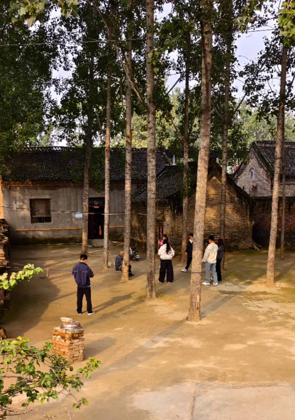 河南一大爷的院子因干净成网红打卡地，网友：像极了小时候家的样子，想拖鞋光脚丫子走