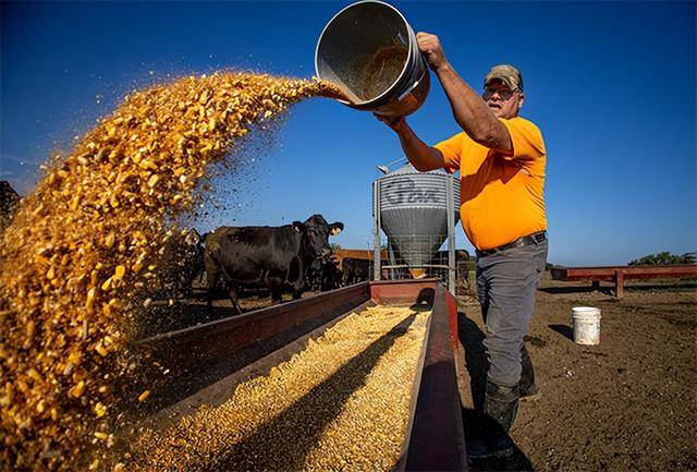 又输给了李成钢<strong></p>
<p>数字货币软件</strong>,贝森特承诺:美方不再考虑对华加征100%关税