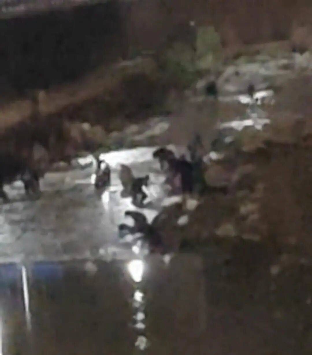 “一盆出5克多”<strong></p>
<p>购买数字货币</strong>,多人凌晨下河淘金!当地警方回应