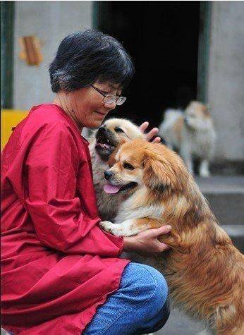 合肥卖房救助流浪狗的魏阿姨离世<strong></p>
<p>数字货币市值</strong>,病中仍然惦记着基地的600只流浪狗,工人:不敢相信世上还有这样执着的人