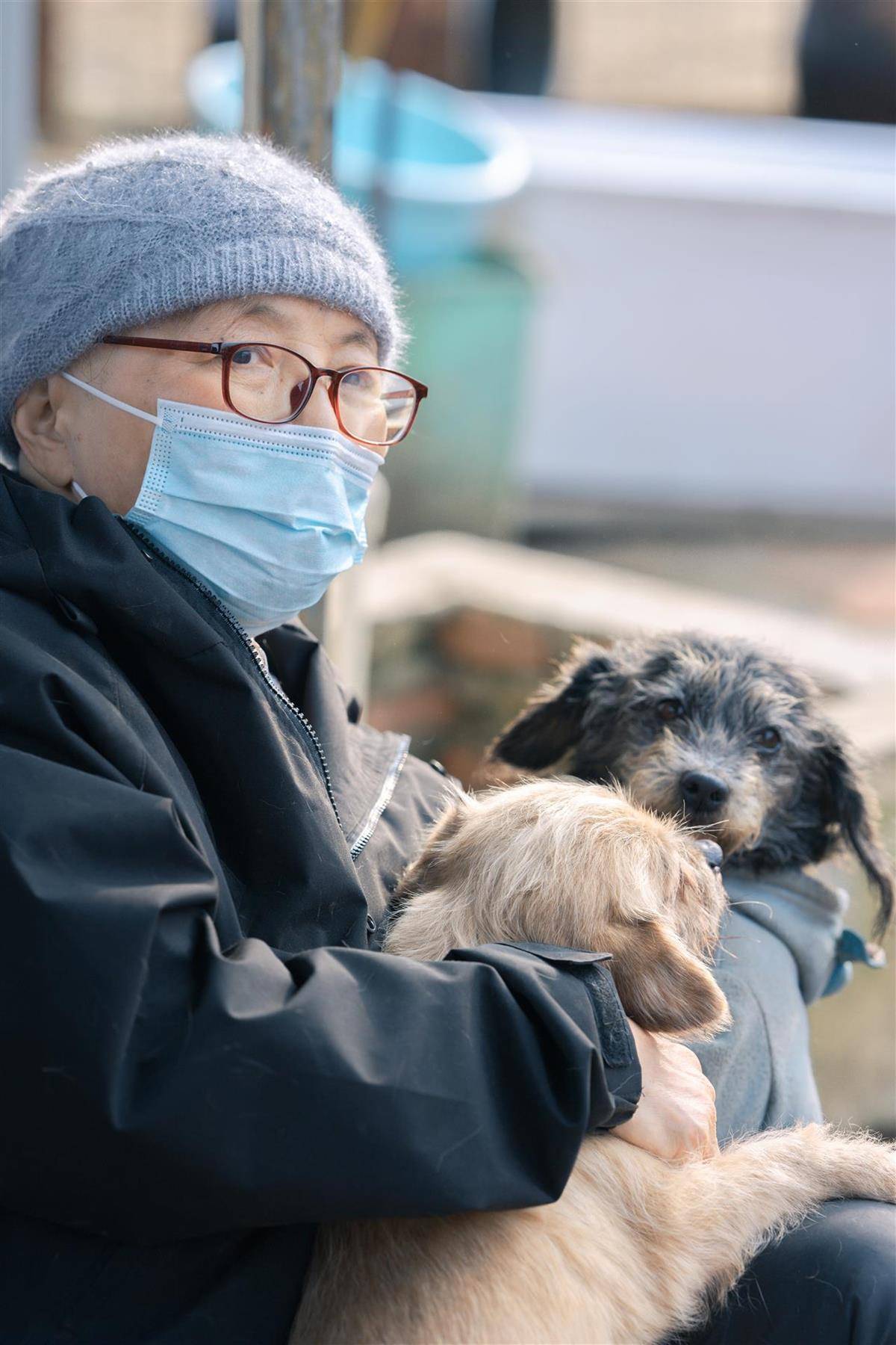 合肥卖房救助流浪狗的魏阿姨离世<strong></p>
<p>数字货币市值</strong>,病中仍然惦记着基地的600只流浪狗,工人:不敢相信世上还有这样执着的人