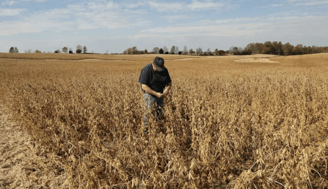 谈妥了又突然变卦!中国复购美国大豆换关税暂停<strong></p>
<p>货币数字代码</strong>,美贸易代表直接通告全球:继续查中国