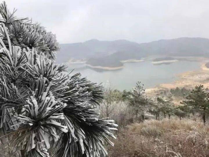 禁止任何形式穿越<strong></p>
<p>货币数字代码</strong>!杭州一地发布最严禁令