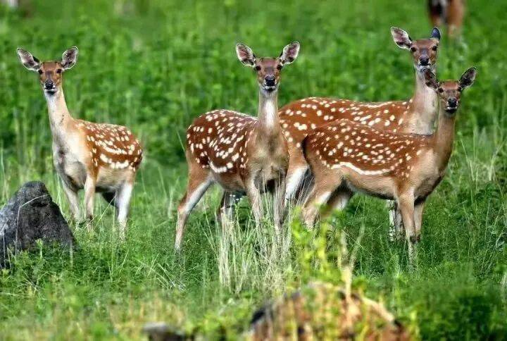 禁止任何形式穿越<strong></p>
<p>货币数字代码</strong>!杭州一地发布最严禁令