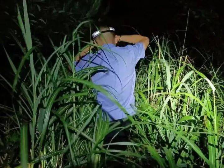 禁止任何形式穿越<strong></p>
<p>货币数字代码</strong>!杭州一地发布最严禁令