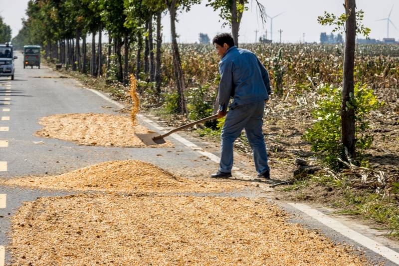 阴雨50天<strong></p>
<p>数字货币银行</strong>，他用3200块救回30万斤玉米