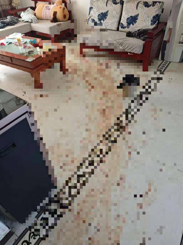 “女子出租屋遭男友持刀杀害”案明日开庭<strong></p>
<p>数字货币群</strong>,家属发声:凶手从未道歉,我们不会谅解