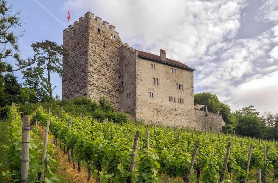 失踪百年的欧洲王室诅咒之钻重现<strong></p>
<p>数字货币系统</strong>，背后藏着一位忠贞皇后的惊人布局