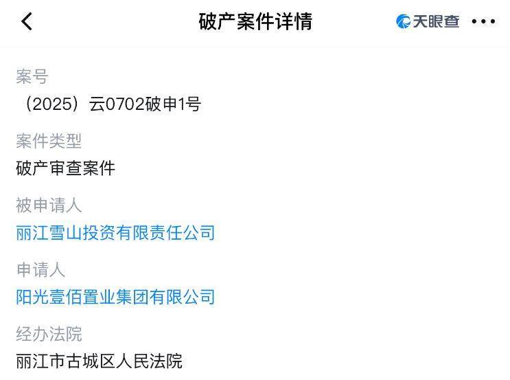 李亚鹏开发的雪山艺术小镇被申请破产,原股东股权价值将归零?
