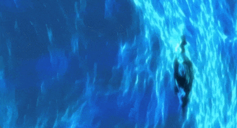 不是慢镜头！福建舰电磁弹射速度那么快<strong></p>
<p>数字货币新闻</strong>，是怎么瞬间刹车的？