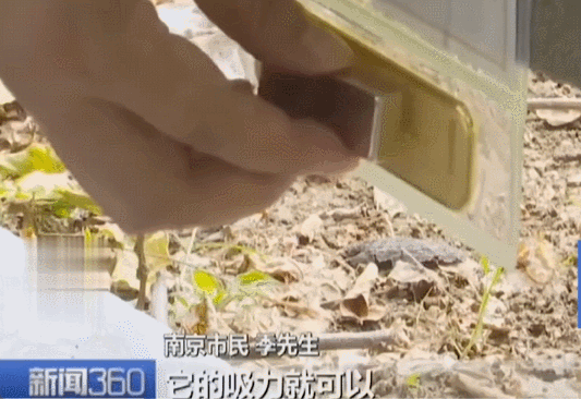 不是慢镜头！福建舰电磁弹射速度那么快<strong></p>
<p>数字货币新闻</strong>，是怎么瞬间刹车的？