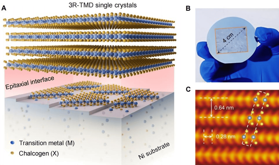 33岁刘灿<strong></p>
<p>数字货币新闻</strong>，破格晋升中国人民大学教授