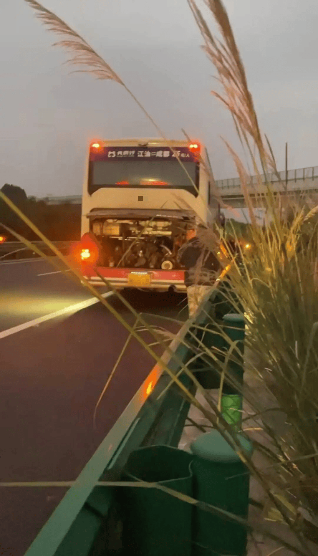 48名乘客被困高速2.5小时<strong></p>
<p>数字货币央行</strong>！运营公司致歉