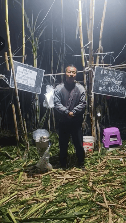 四川眉山自助“偷甘蔗”老板称有人只“偷”不给钱<strong></p>
<p>数字货币交易app</strong>,当地文旅:已安排人员现场协调