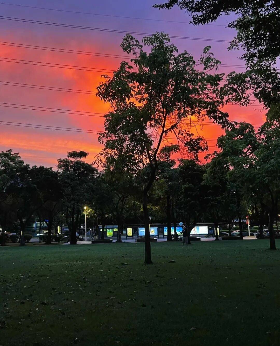 第一批丁克老后<strong></p>
<p>数字货币交易app</strong>，“伴侣能陪一程，但最后都要靠自己”