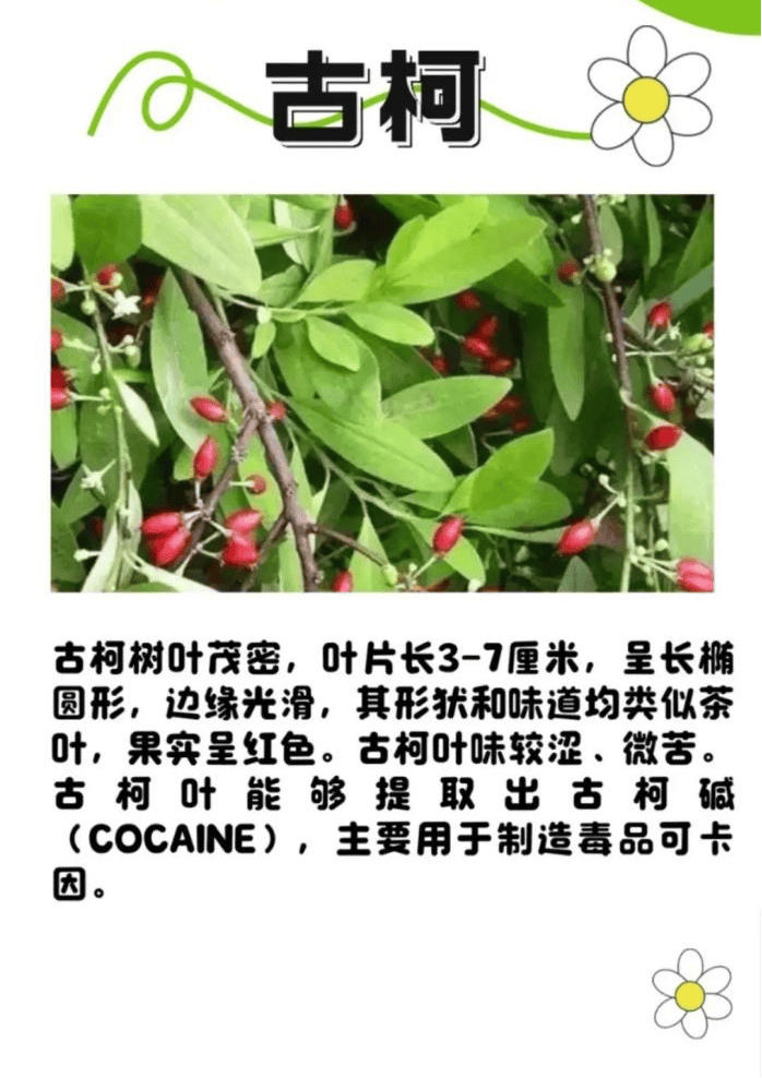 悬赏1500万美金！前奥运选手涉多起案件<strong></p>
<p>数字货币技术</strong>，被列入十大通缉犯