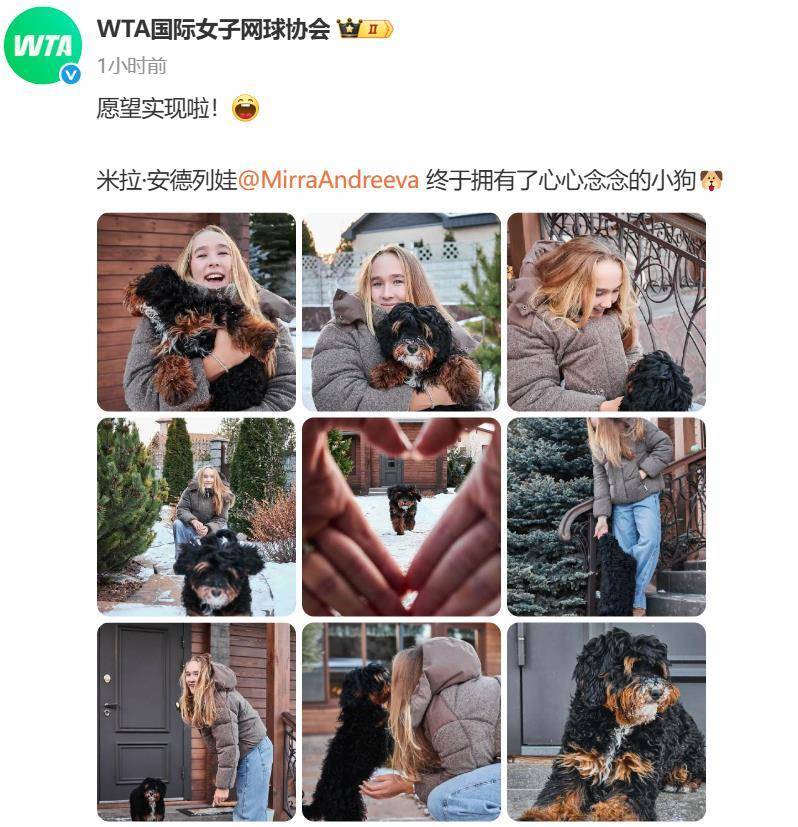 “小米辣”终于有了自己的小狗！曾说养狗是赢球的动力<strong></p>
<p>数字货币怎么交易</strong>，WTA官方发“贺信”：愿望实现啦！