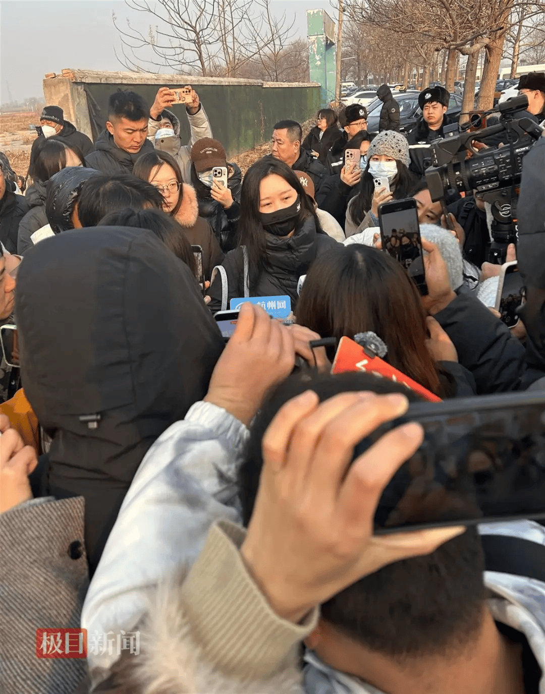 在小区投毒致9条狗死亡,男子获刑4年!