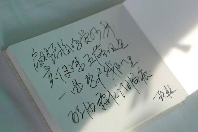 何晴之子追思:妈妈很喜欢雪<strong></p>
<p>炒数字货币</strong>,北京这场雪好像是为她而下