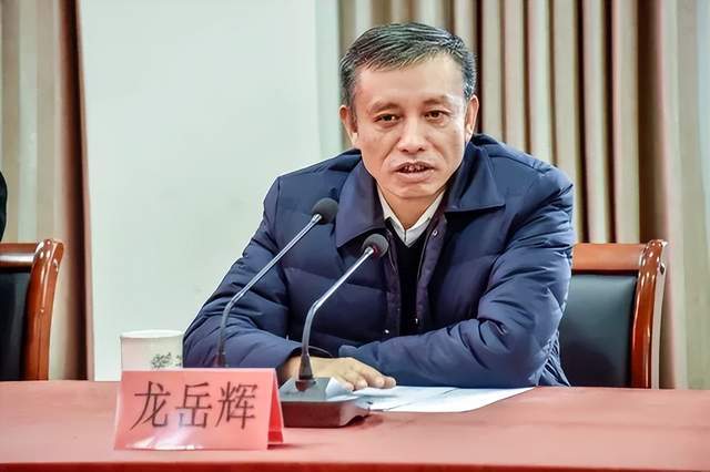 主动投案<strong></p>
<p>炒数字货币</strong>,国家税务总局浙江省税务局原党委书记、副局长龙岳辉接受审查调查