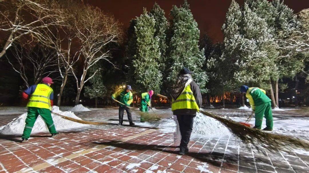 北京绿化带里用了二十年的板子<strong></p>
<p>炒数字货币</strong>，今冬“下岗”了——