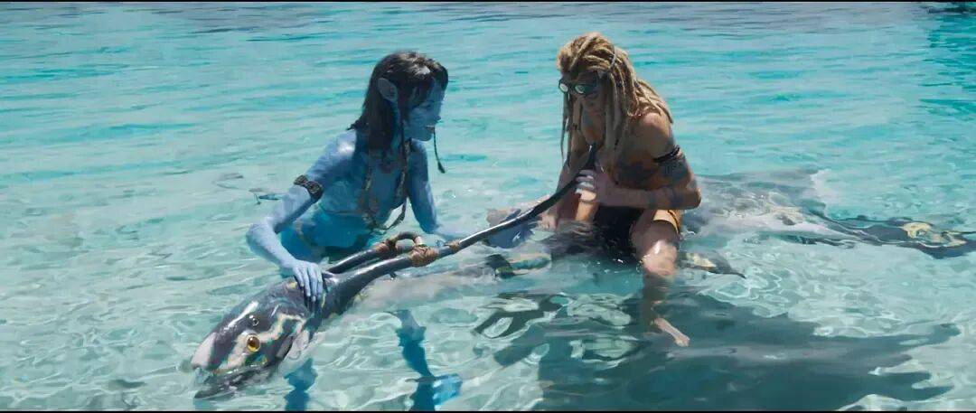 仿佛又看了一遍《阿凡达2》…票房口碑不及前作的《阿凡达3》真审美疲劳了吗<strong></p>
<p>啥是数字货币</strong>？